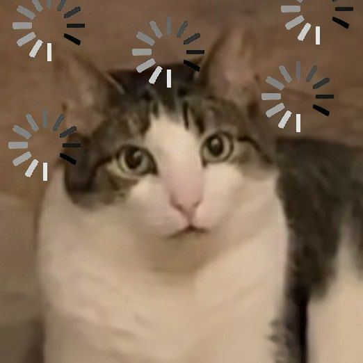 Gato parado cercado de ícones de carregamento