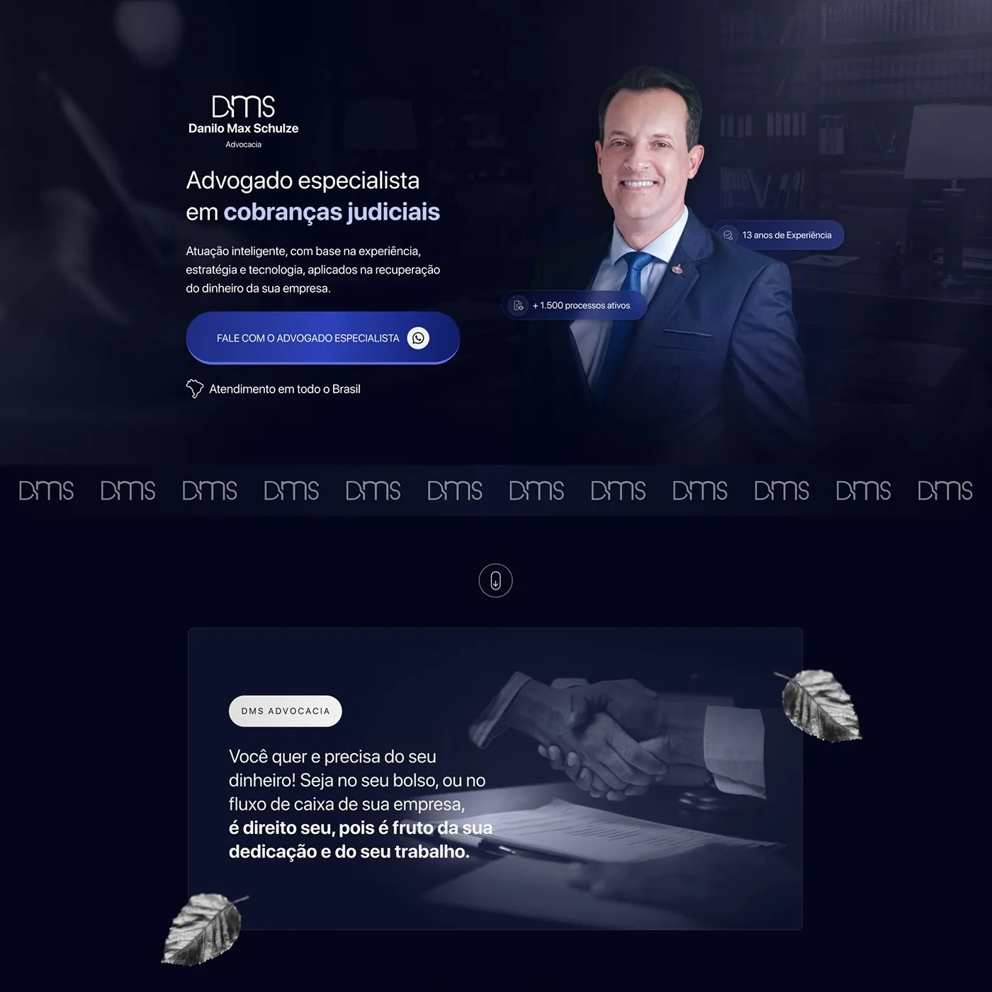 Danilo Max Schulze, Landing page para cobranças judiciais, página completa